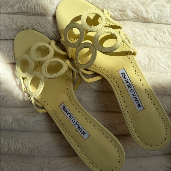 Manolo Blahnik Shoes - Manolo Blahnik 50mm Barimu Sandals